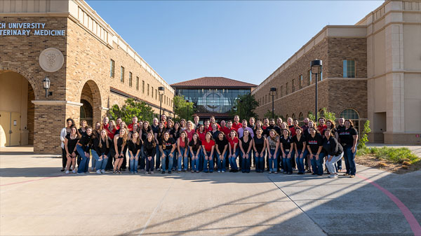 Clinical Class 2024