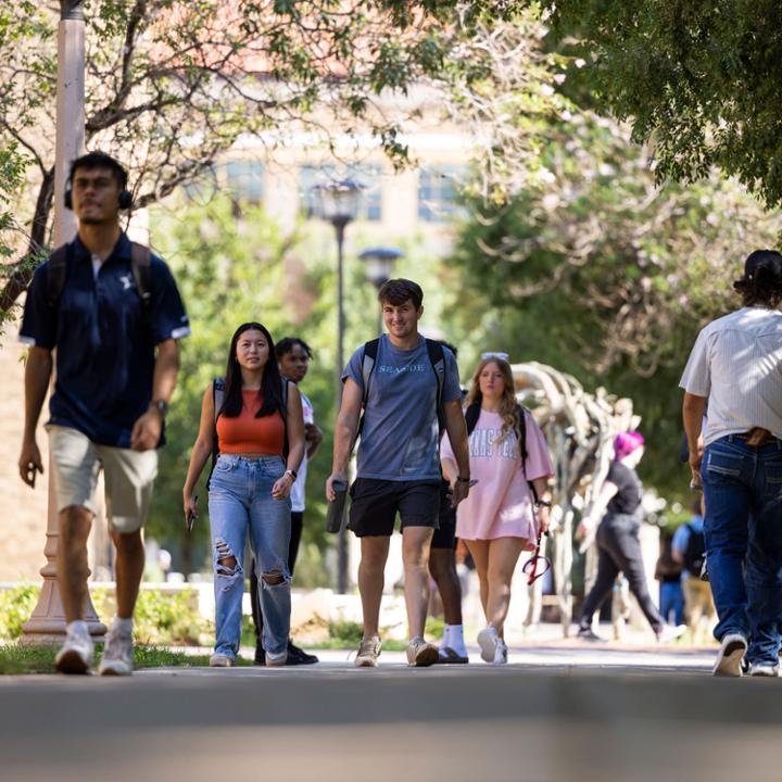 Enroll at Texas Tech University.