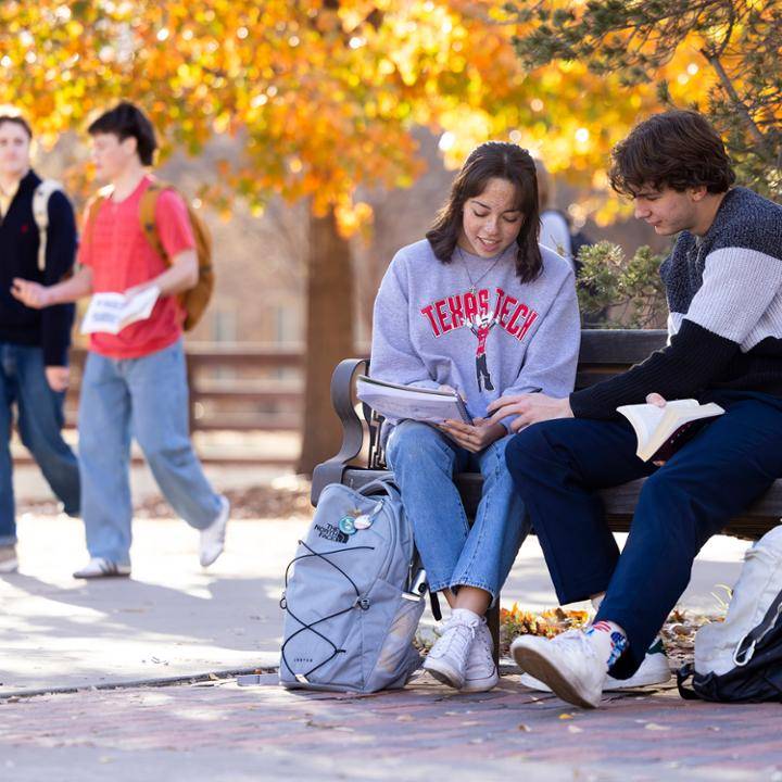 Enroll at Texas Tech University.