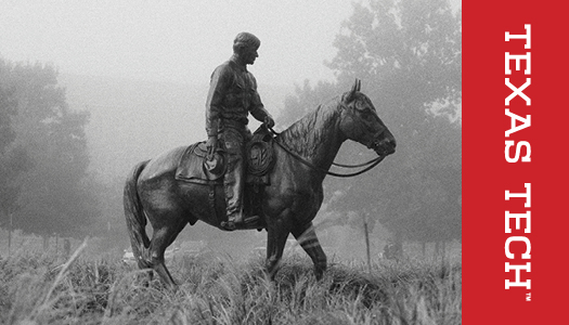 This specialty business card back features a black and white photo of Riding into            the Sunset. On the right side of the card, a red band holds a white Texas Tech wordmark            set in it's y axis.