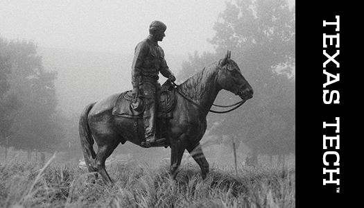 This specialty business card back features a black and white photo of Riding into             the Sunset. On the right side of the card, a black band holds a white Texas Tech wordmark            set in it's y axis.