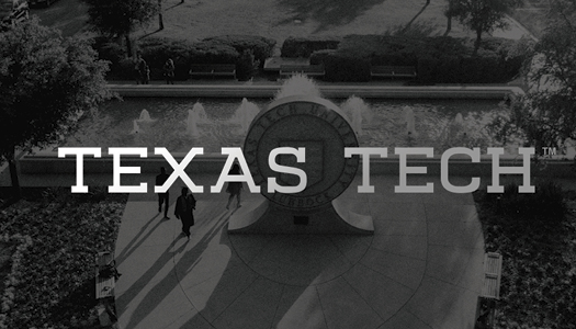 This specialty business card back features a black and white photo of the Texas Tech seal.           It is overlaid with an transparent black overlay. The Texas Tech wordmark is set in the middle           of the card and features a special treatment like a UV ink.