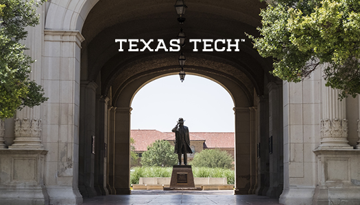 This standard back features a view of the admnistration arch framing a             Preston Smith statue. The Texas Tech wordmark is set in the upper top             portion of the card.