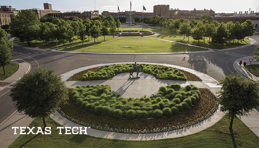 This standard back features an aerial image of Memorial Circle and the             Riding into the Sunset statue. The Texas Tech wordmark is set on the lower            left corner of the card.