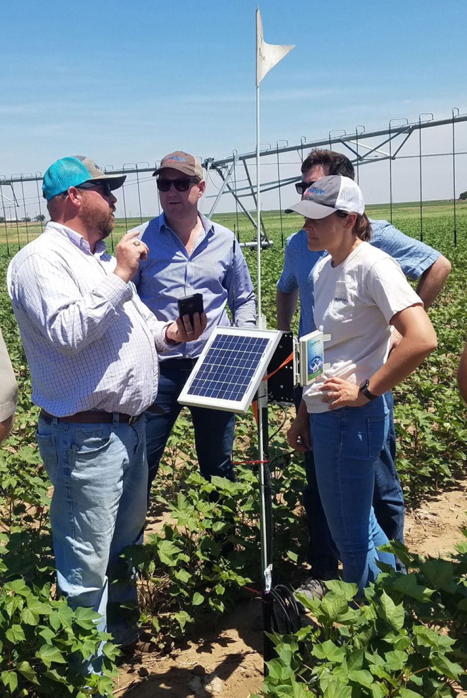 Group of people in a field discussing solar power.