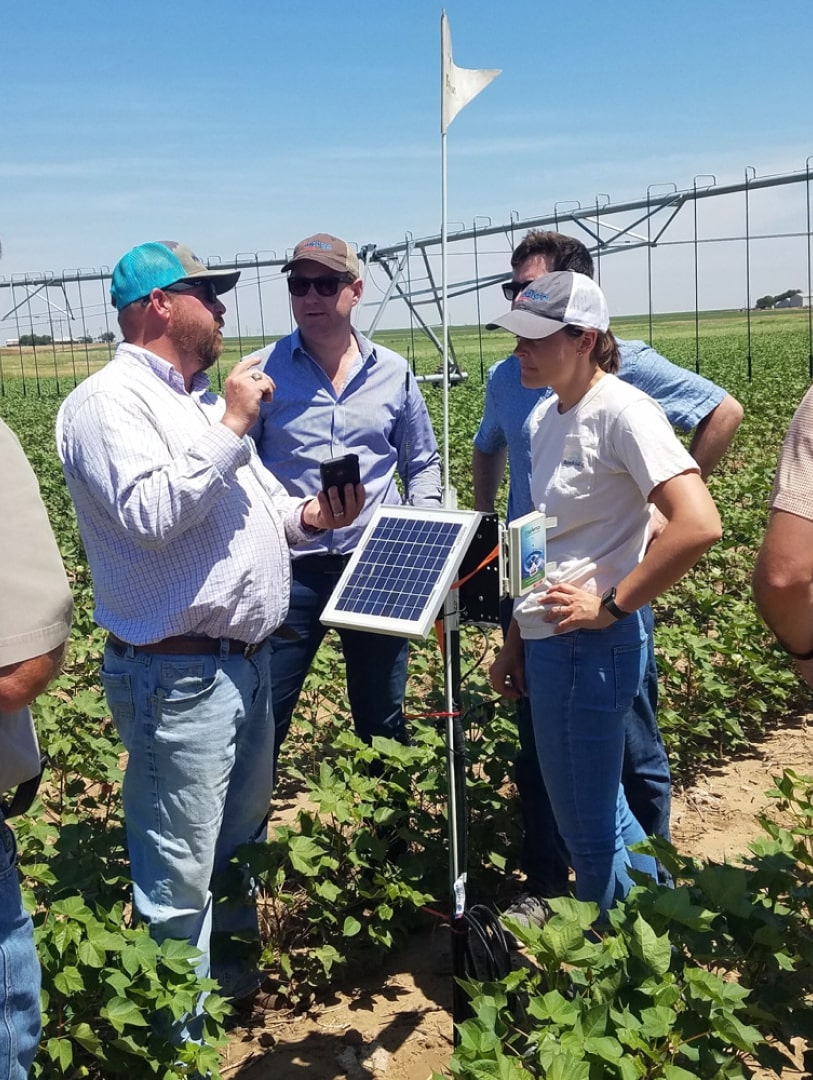 Group of people discuss solar power in a field