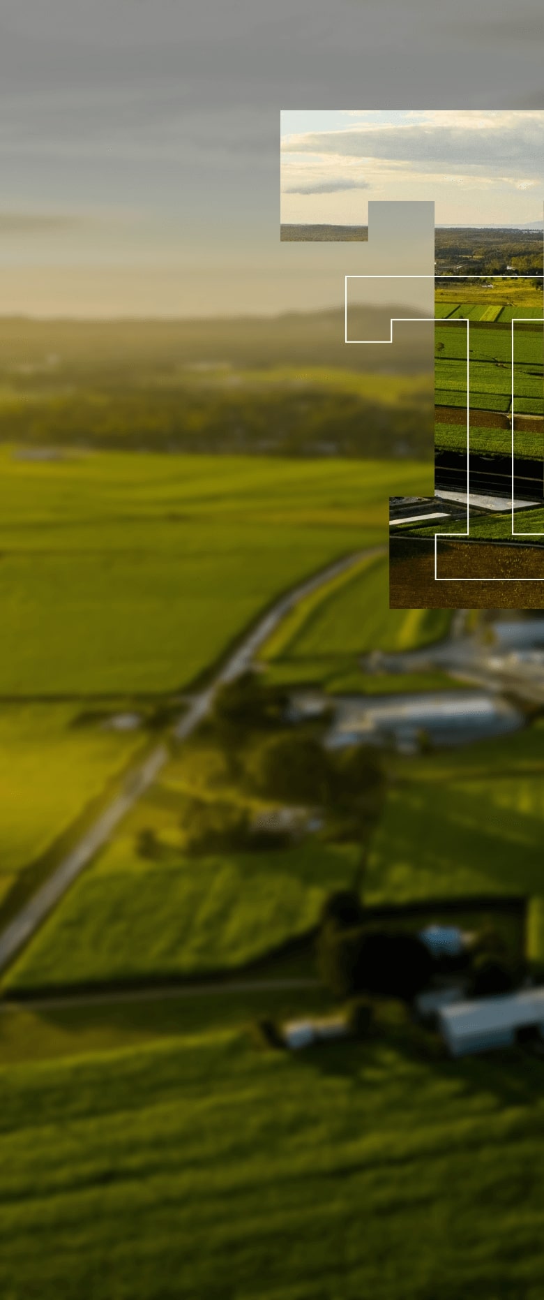 Aerial view of farmland.