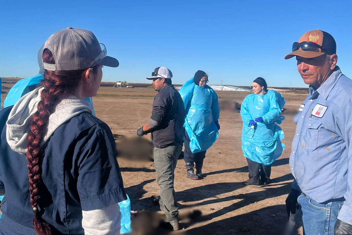 people standing in feedlot