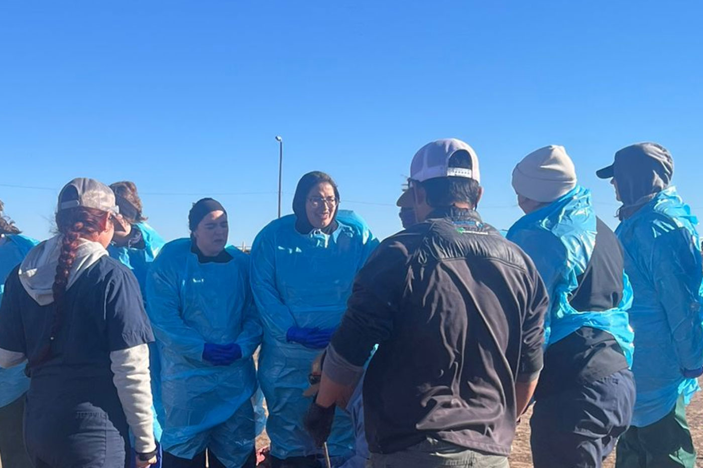 people standing in feedlot