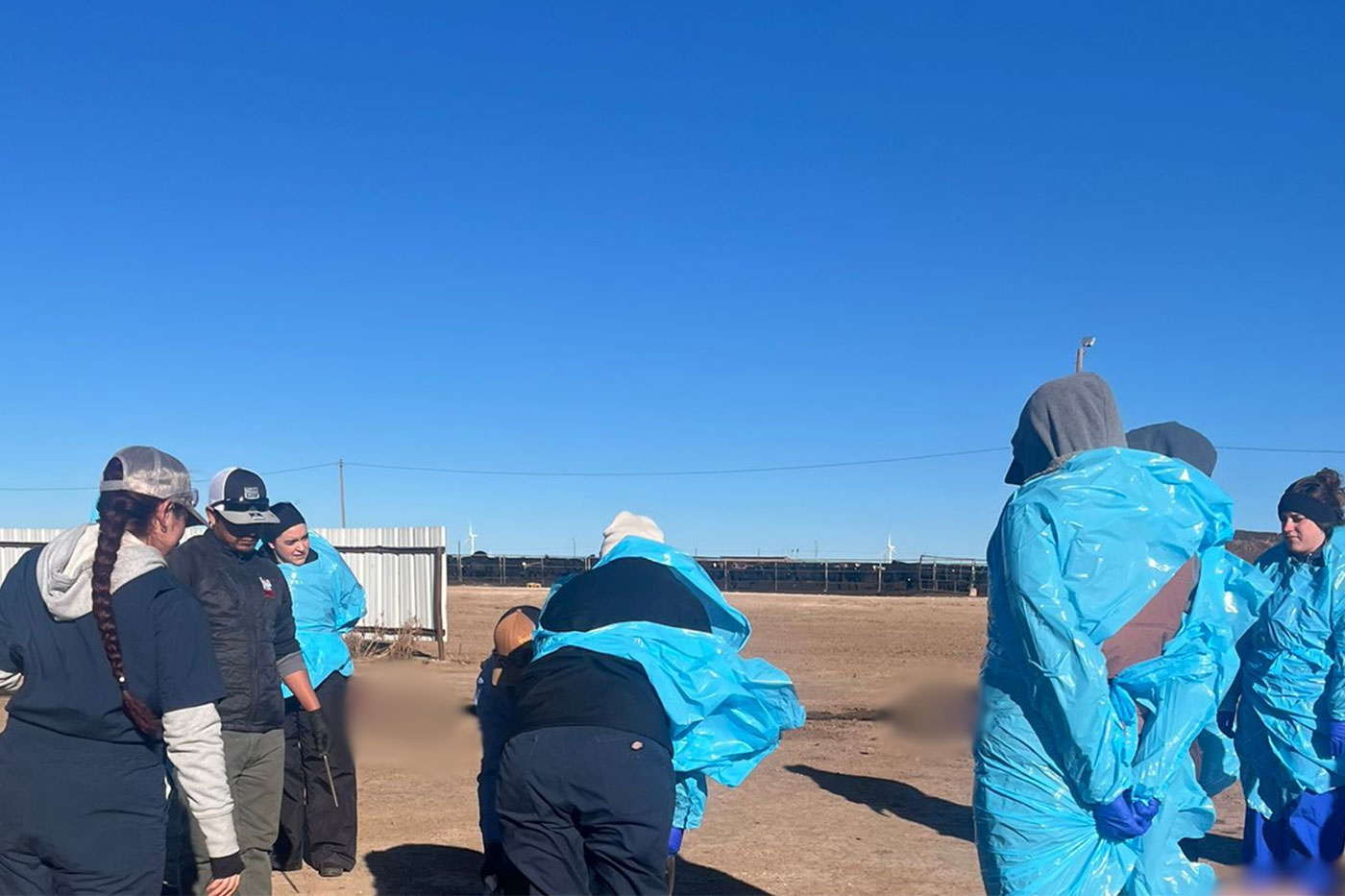 people standing in feedlot