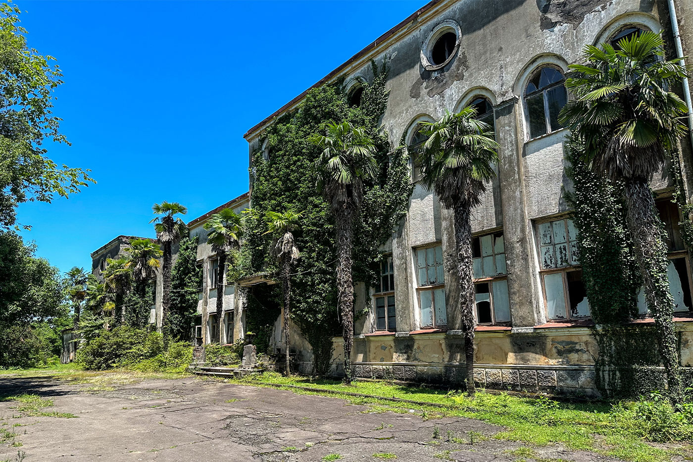 Two dogs sunbathe in the remains of an abandoned building of an Anaseuli tea plantation of the Soviet era.