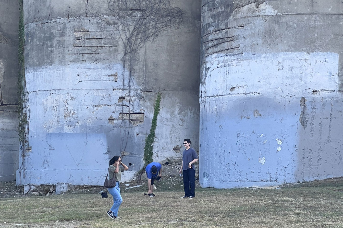 Assessing the site