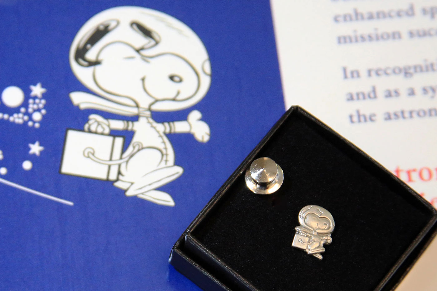 Snoopy Pin