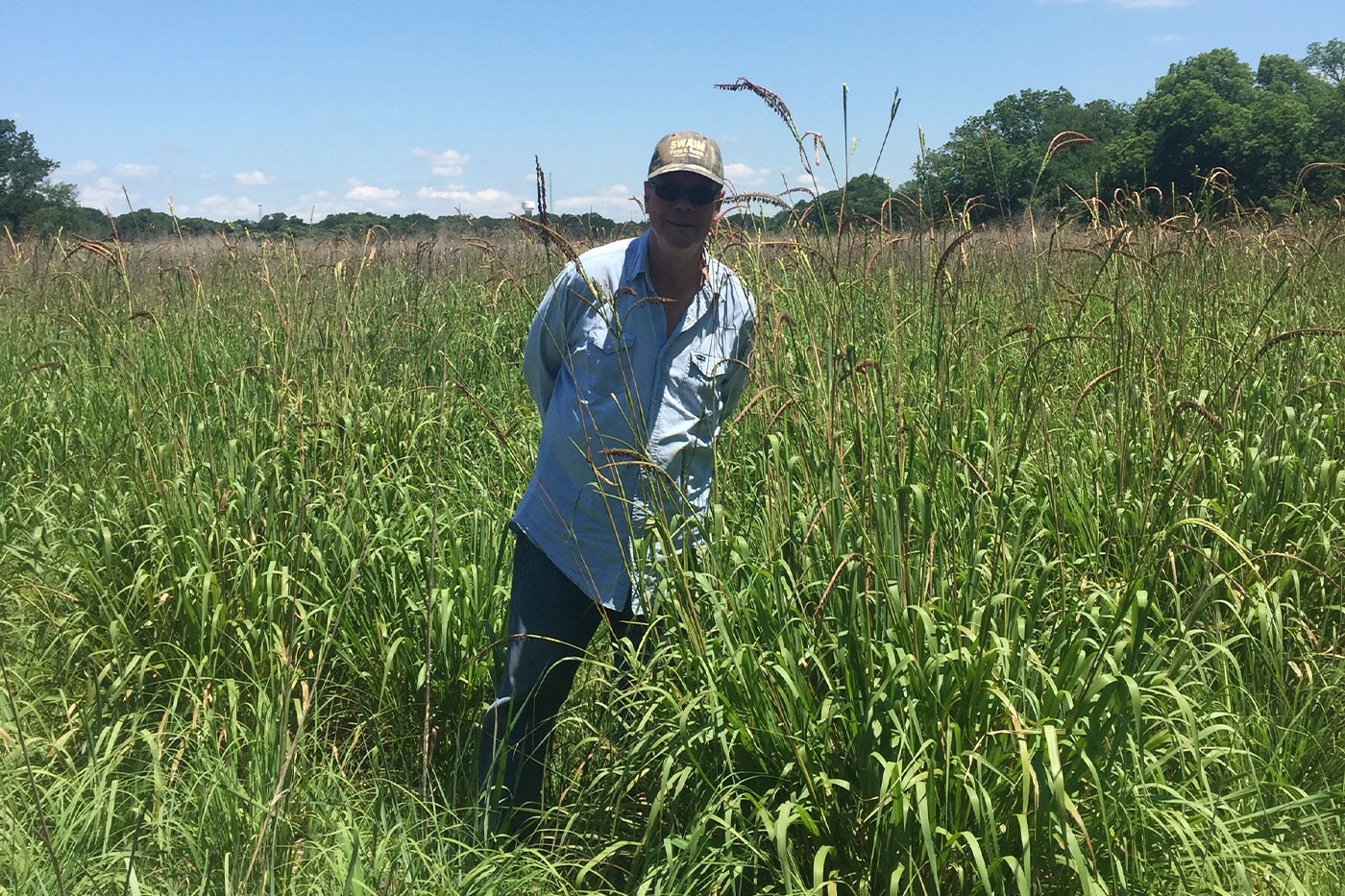 Murray standing in tall grass. 