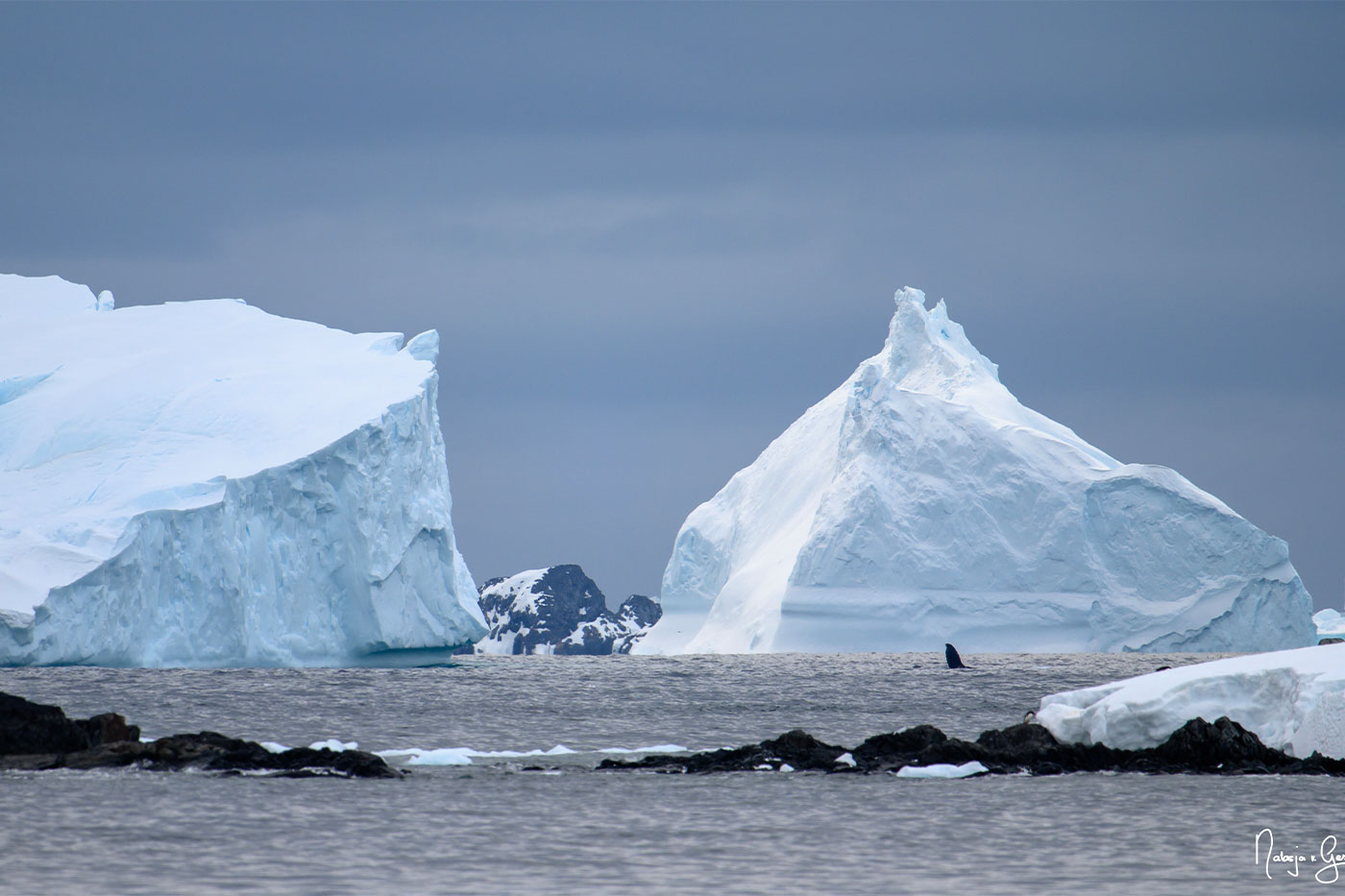 Glaciers in Antarctica