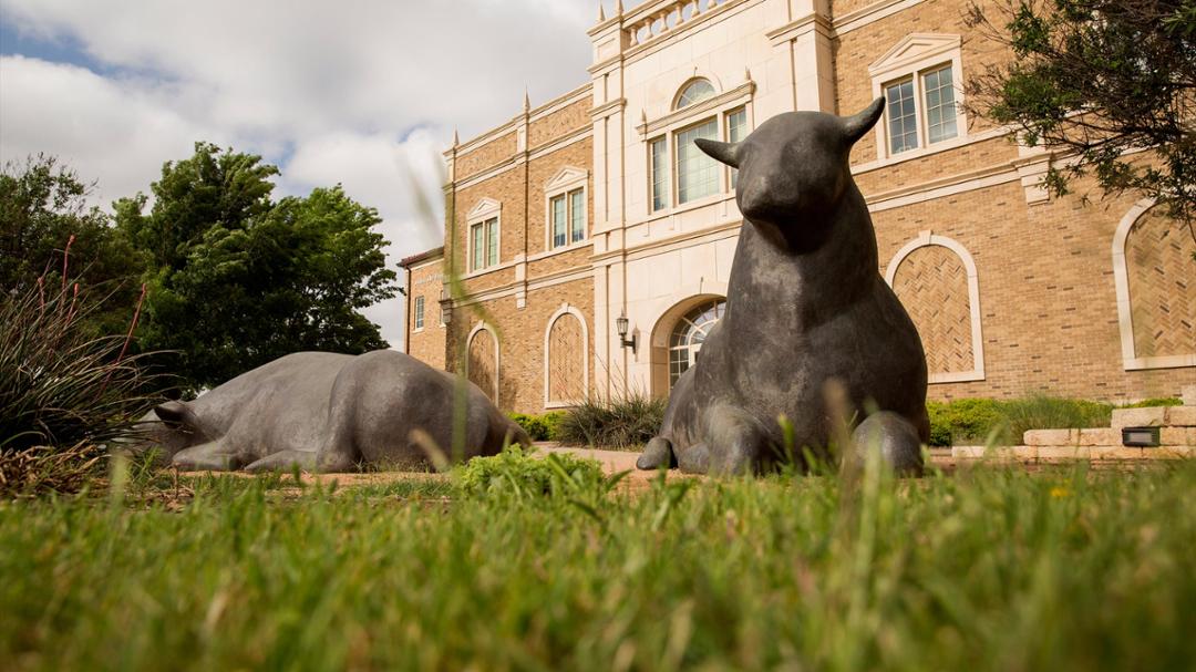 Texas Tech and Lubbock Impact Collaborate on Difference-Making Mission