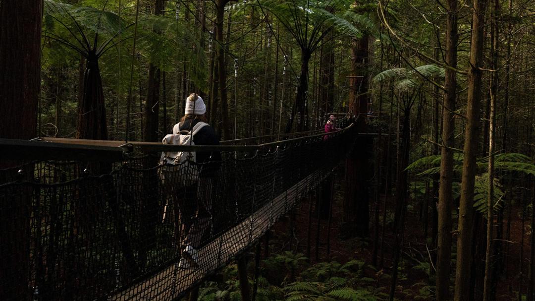 Texas Tech Students Gain a Deeper Understanding of Tourism in New Zealand