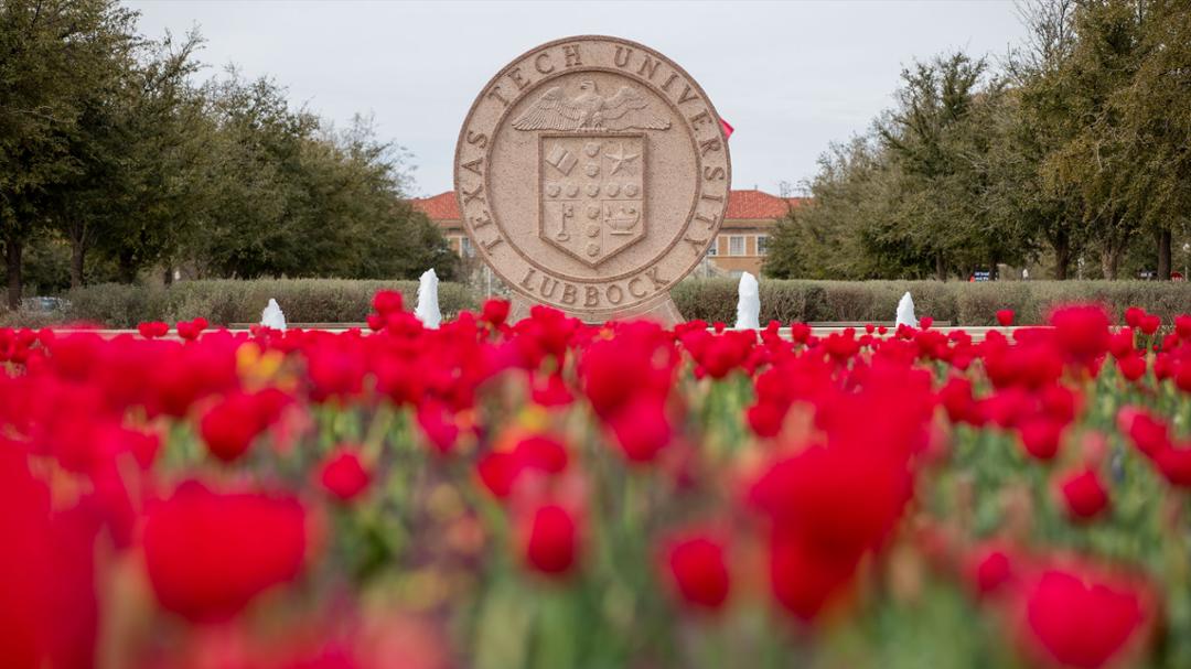 Texas Tech Names New Horn Distinguished Professors Texas Tech Names New Horn Distinguished Professors